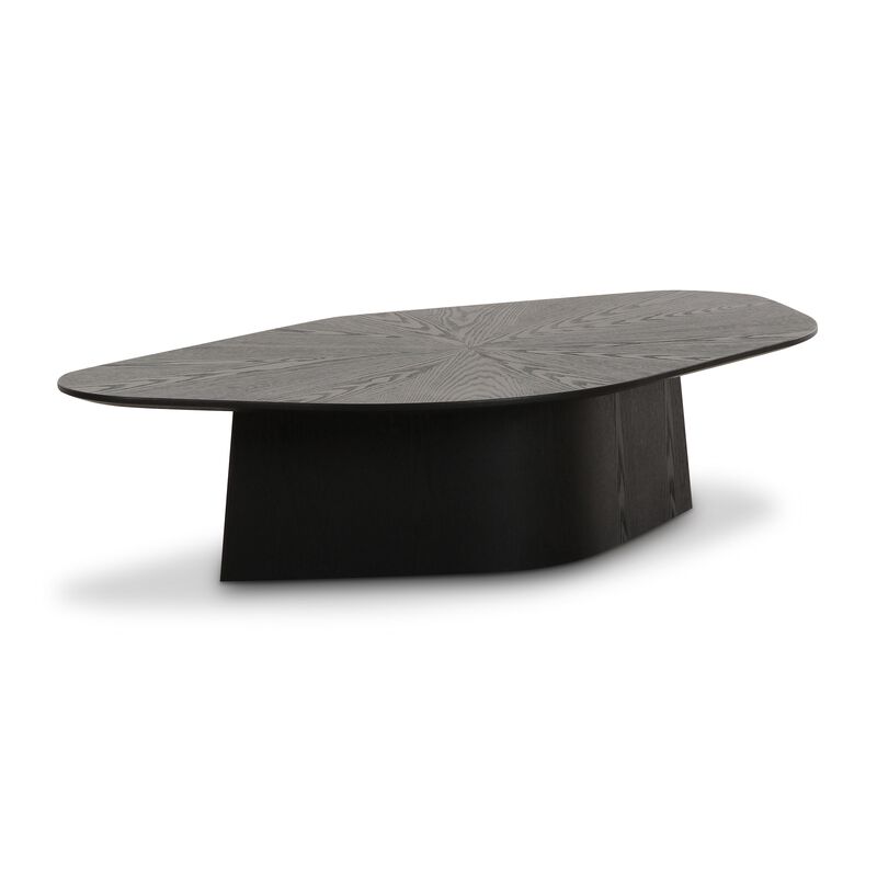 Roche Ash Low Coffee Table image number 0