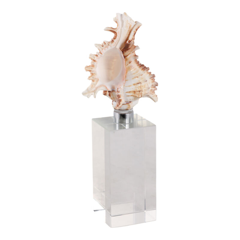 8x2" Shell On Crystal Base image number 1