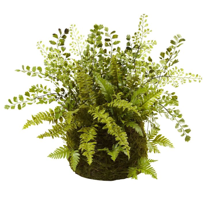 Nearly Natural Mixed Fern w/Twig and Moss Basket
