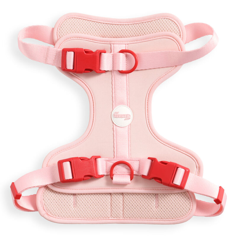 Arlo Adjustable Soft Padded No Pull Pet Harness with 3 Buckles and 3 Leash Clips