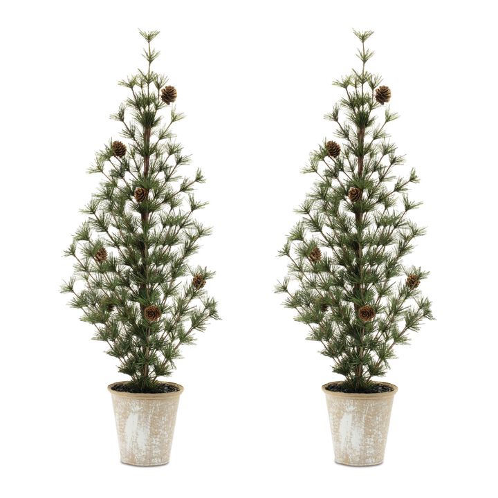 Mini Pine Tree Set of 2 in Pots for Christmas Entryway or Seasonal Home Decor