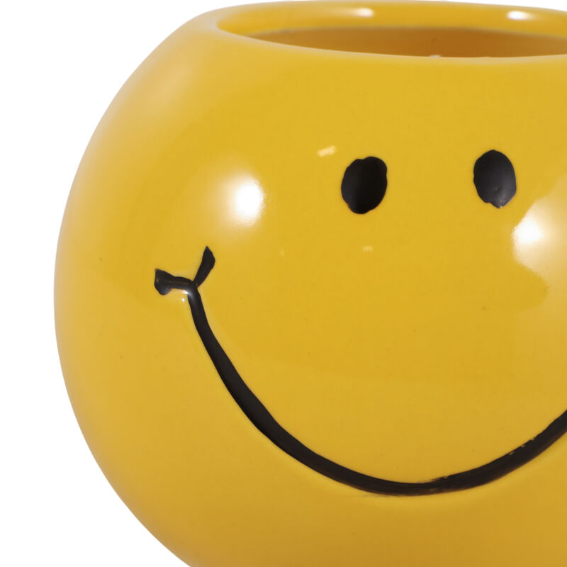 Coconut Goji Smiley Face image number 5