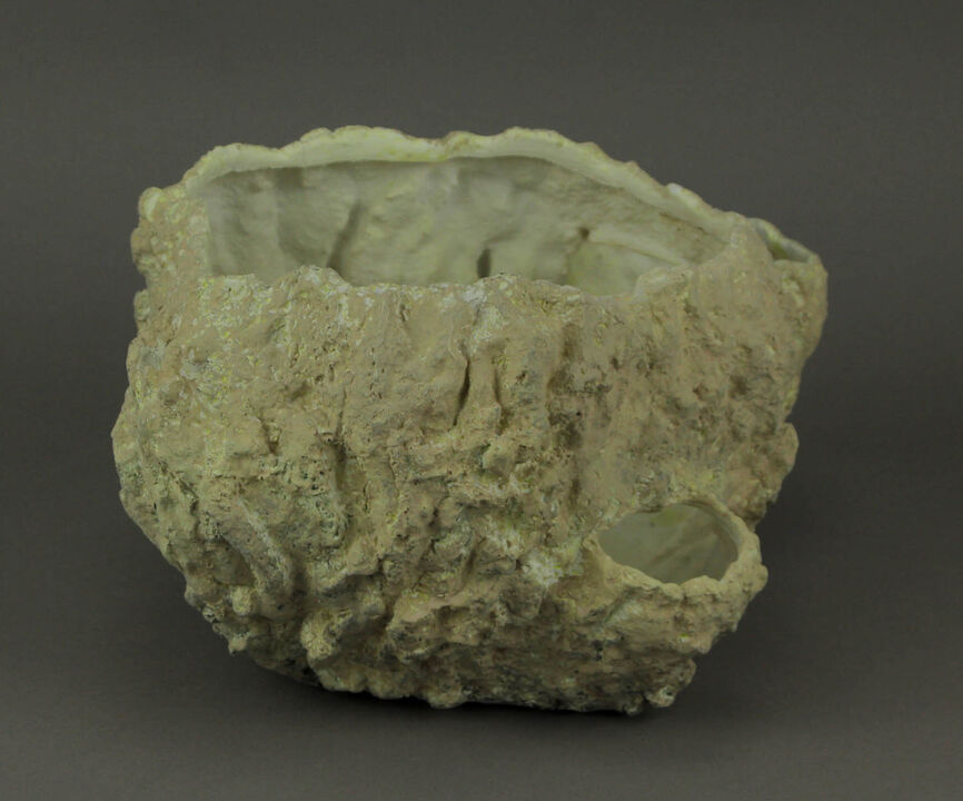 Off-White Fossilized Coral Decorative Coastal Decor Vase