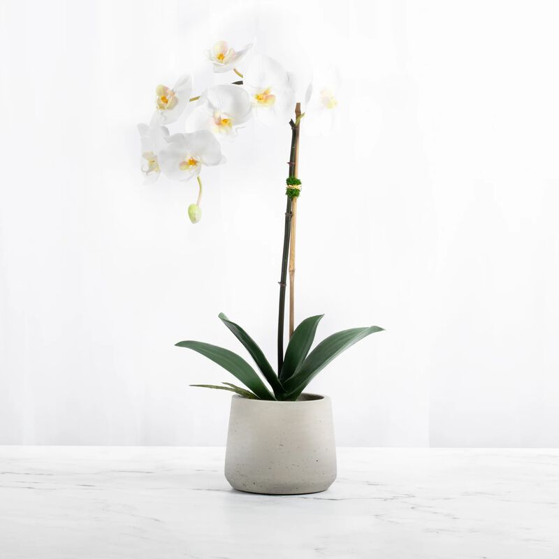 Artificial Orchid Plant White Orchid Plant