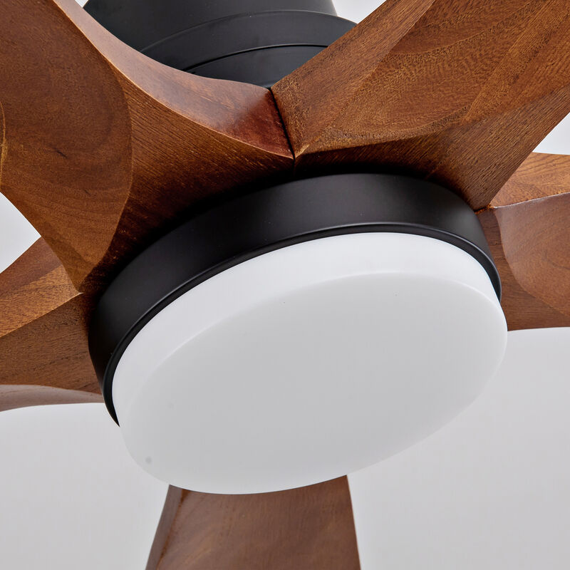 ELEMENT ACE Modern Outdoor Ceiling Fan with Integrated LED Lighting and Remote Control for Energy-Efficient Air Circulation image number 9