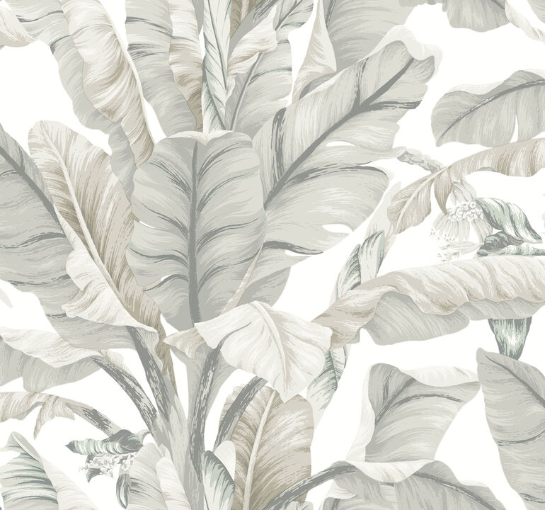 Banana Leaf White & Cream Wallpaper