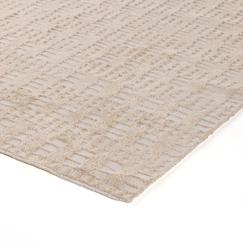 Tanvi Hand Knotted 8' x 10' Rug