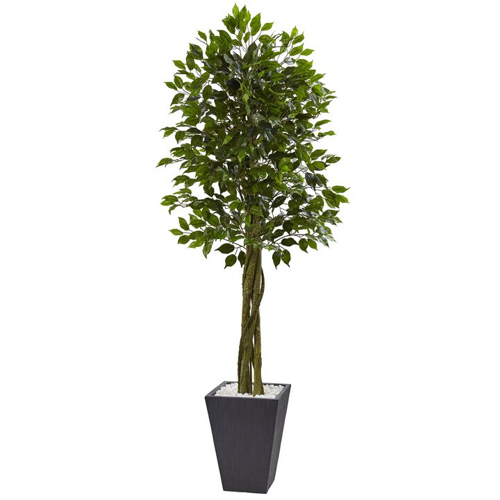 HomPlanti 6.5 Feet Ficus Tree with Slate Planter UV Resistant (Indoor Outdoor)