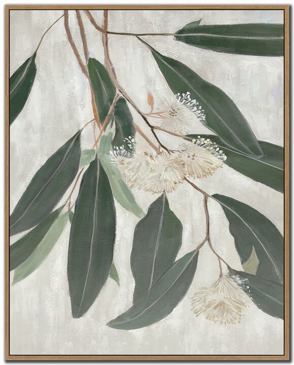Eucalyptus Blossoms II