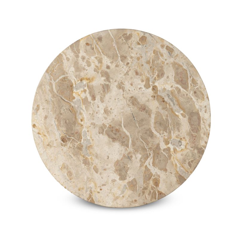 Billings Fossil Marble End Table