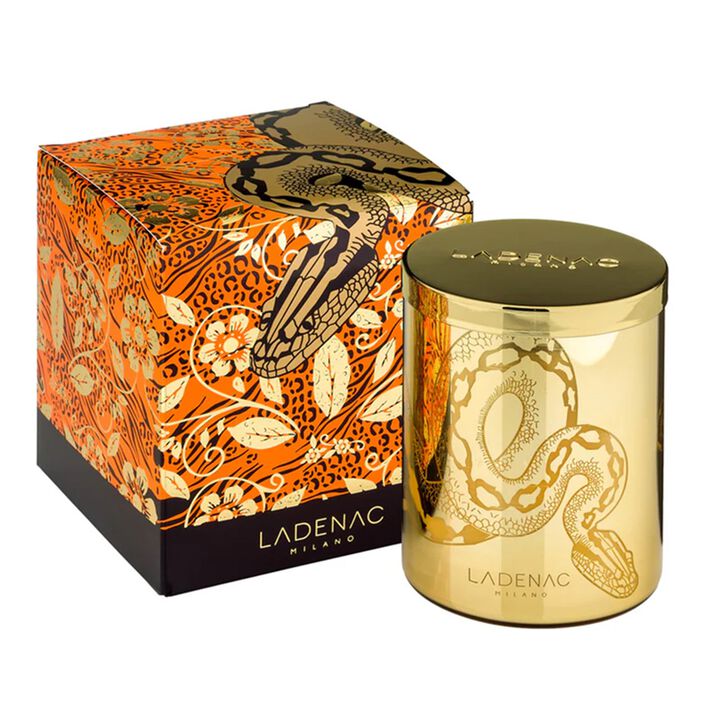 Candle in Jar AFRICA SNAKE 12.3 oz
