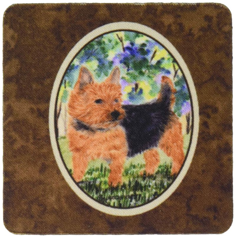 Caroline's Treasures SS8218FC Norwich Terrier Foam Coasters (Set of 4), 3.5 H x 3.5 W, Multicolor