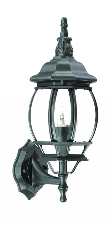 Homezia Matte Black Ornamental Glass Globe Wall Light
