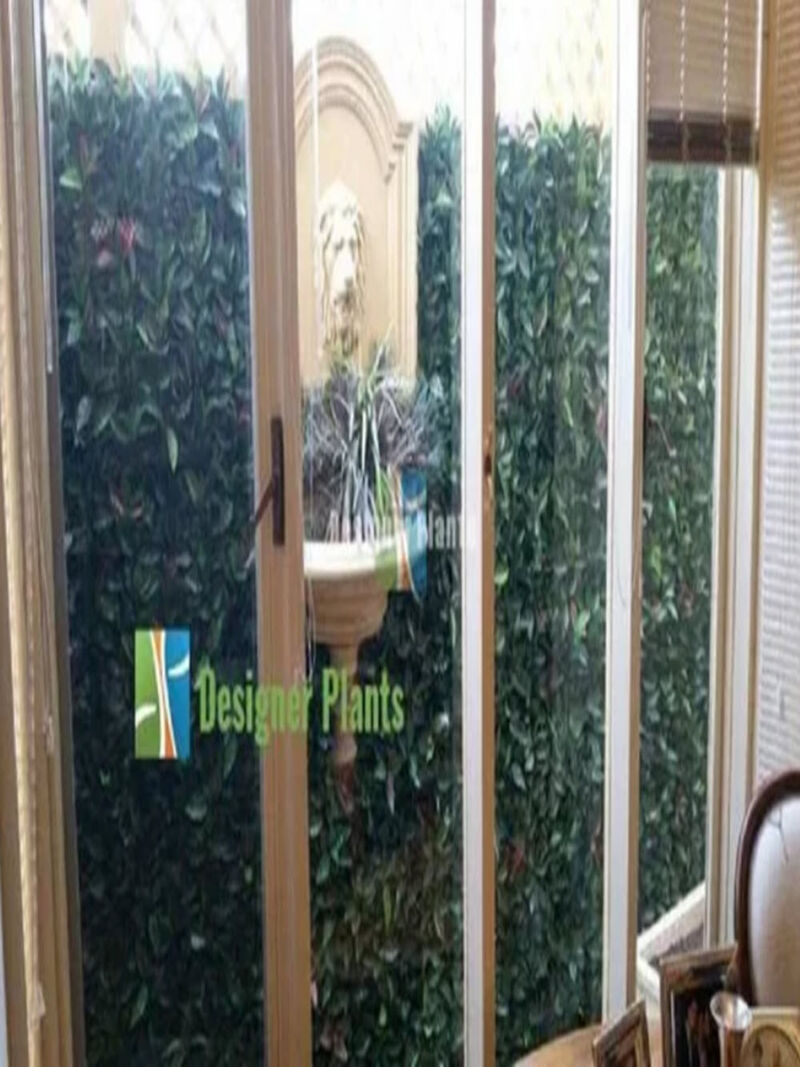 Artificial Photinia Hedge Panel Wall 40" x 40" 11SQ FT Commercial Grade UV Resistant