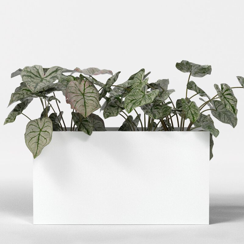 Greenline Fiberglass Leo Extra Large Indoor/Outdoor Rectangle Planter.