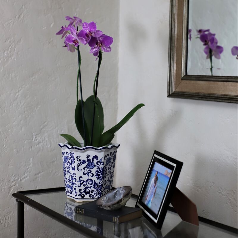 Euro Ceramica Blue and White Chinoiserie Ceramic Garden Planter, Set of 3 image number 5