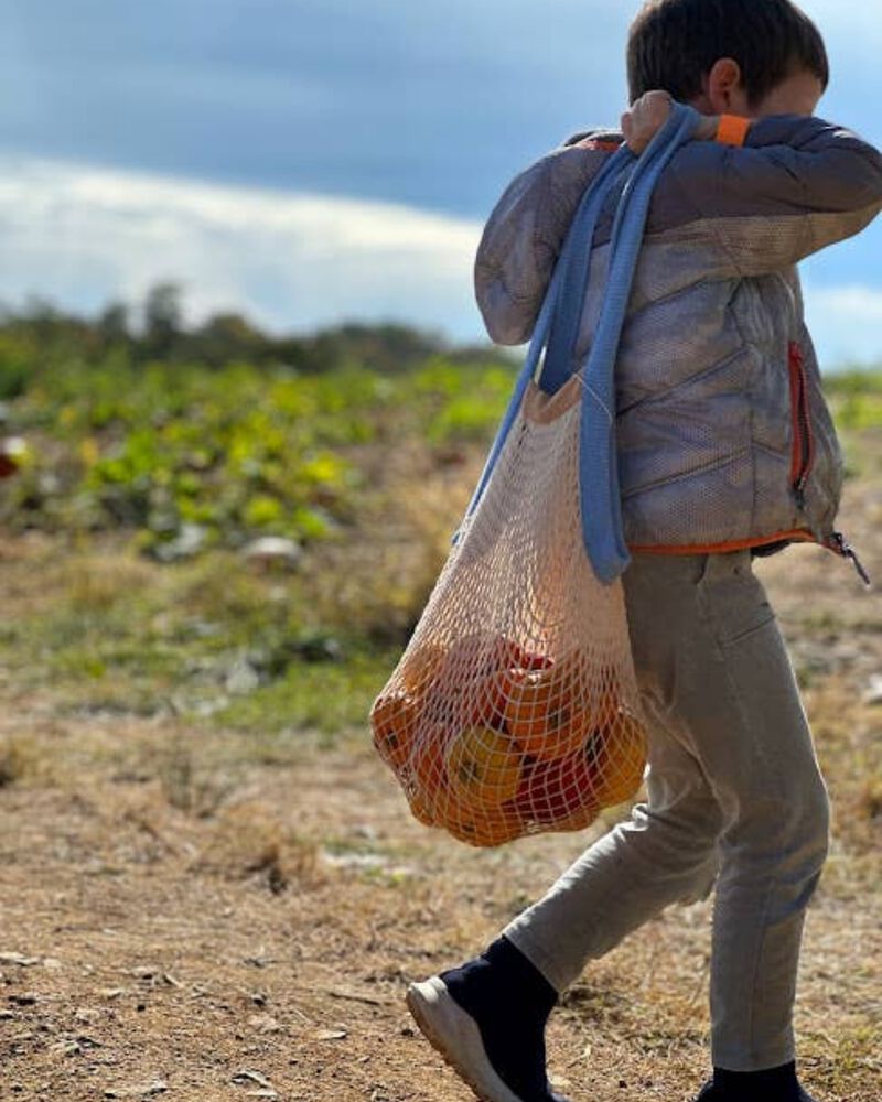 French Market Reusable Grocery Bag