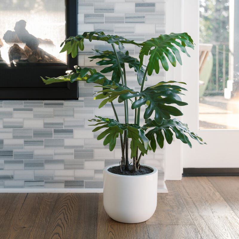 3' Faux Potted Philodendron image number 1