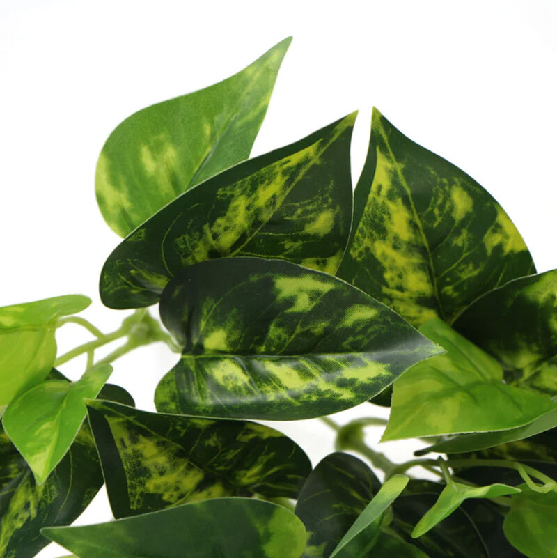 Artificial Pothos / Devil's Ivy Bush 9.5 image number 2