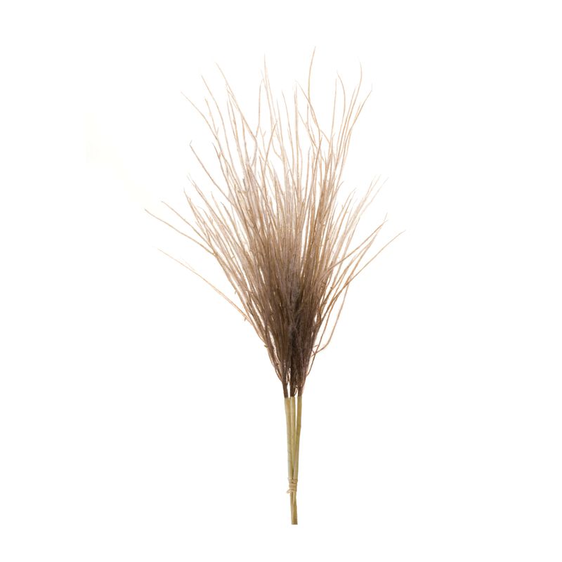 Set of 2 Grass Plume Bundles for Vases, Arrangements, or Shelf Styling