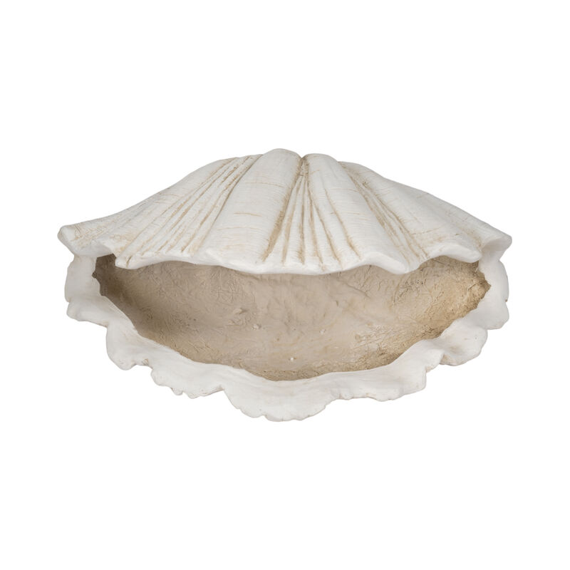 22" Scallop Shell Decor, White image number 5