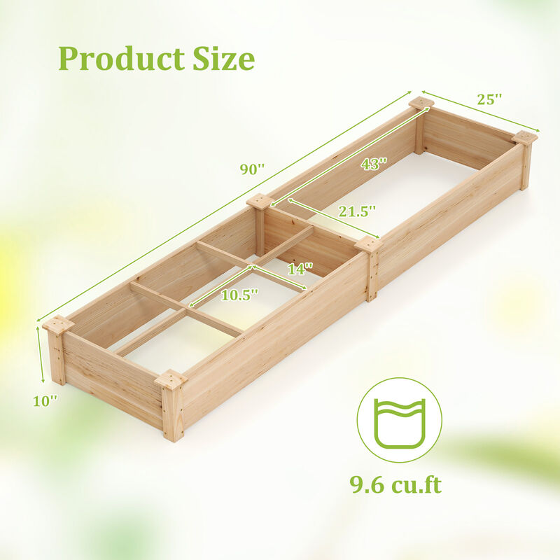 Raised Garden Bed with 2 Planter Boxes and Dividers for Organized and Efficient Outdoor Gardening