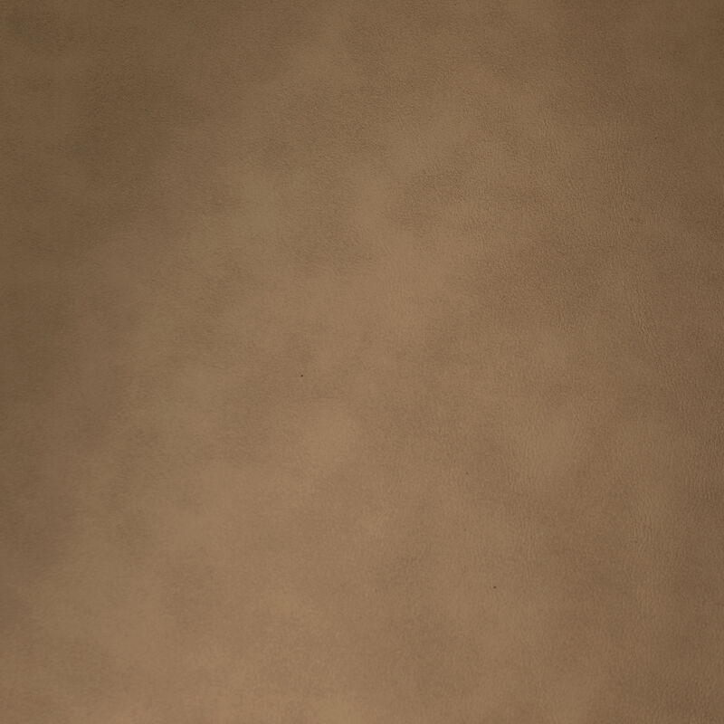 Meridian Furniture Blake Tan Vegan Leather Dining Chair, Set of 2