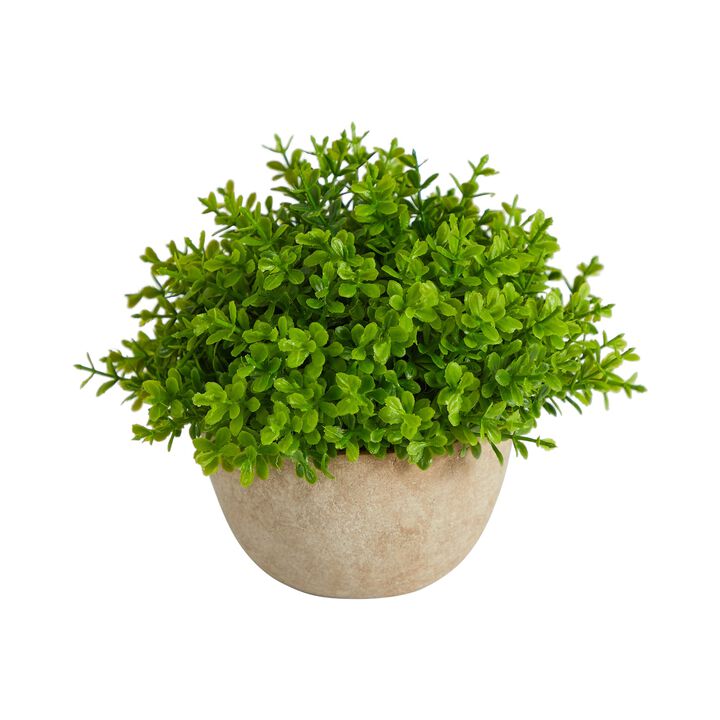 Nearly Natural 5-in Boxwood Artificial Plant in Decorative Planter