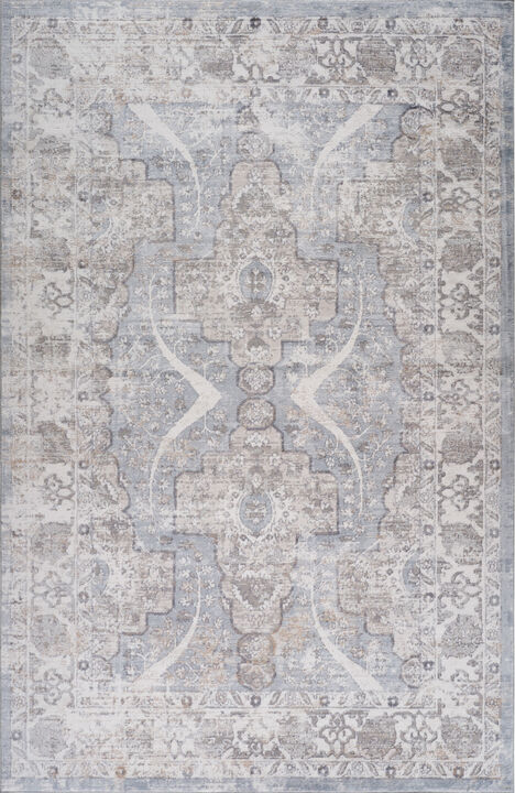 HomeRoots Abstract Distressed Area Rug