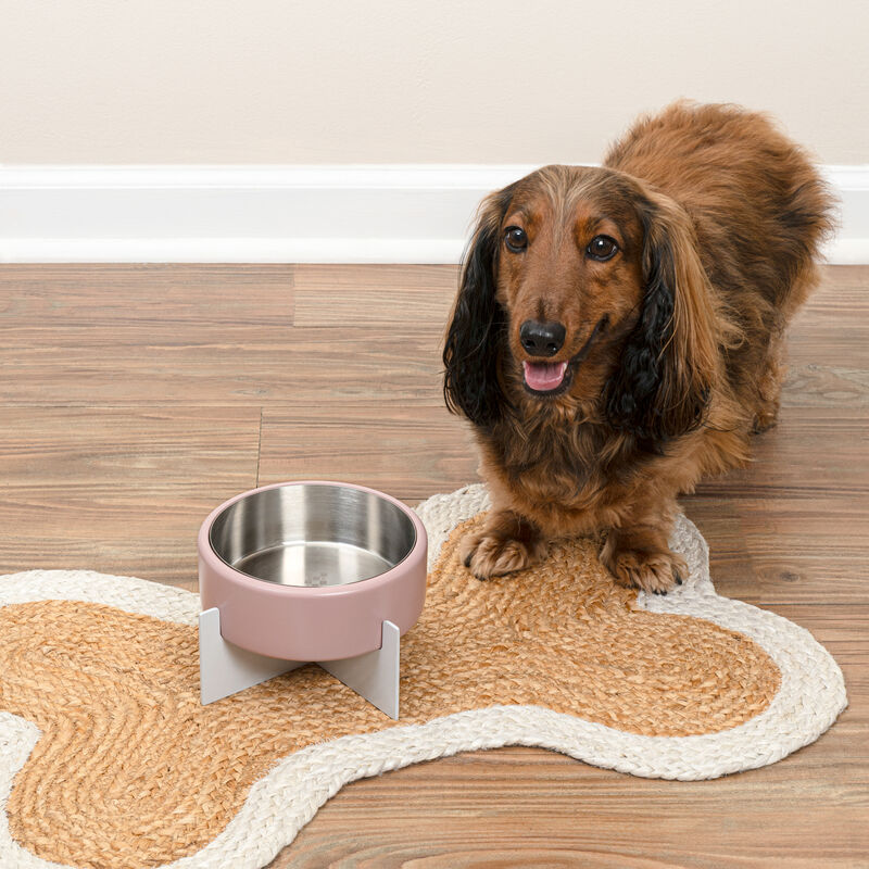 Intersecta Concrete and Stainless Steel Bowl 16oz (2 Cups) with Metal Stand Pet Feeder image number 5