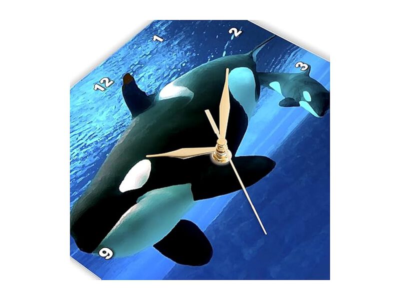Killer Whales Wall Clock 10 Inch Home Decor image number 3