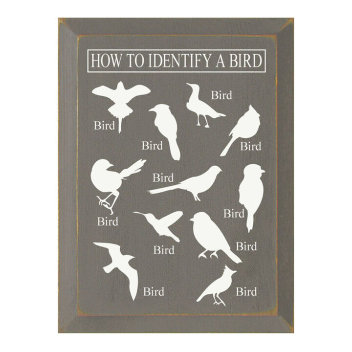 Bird Identification Chart Wall Decor From Solid Knotty Pine