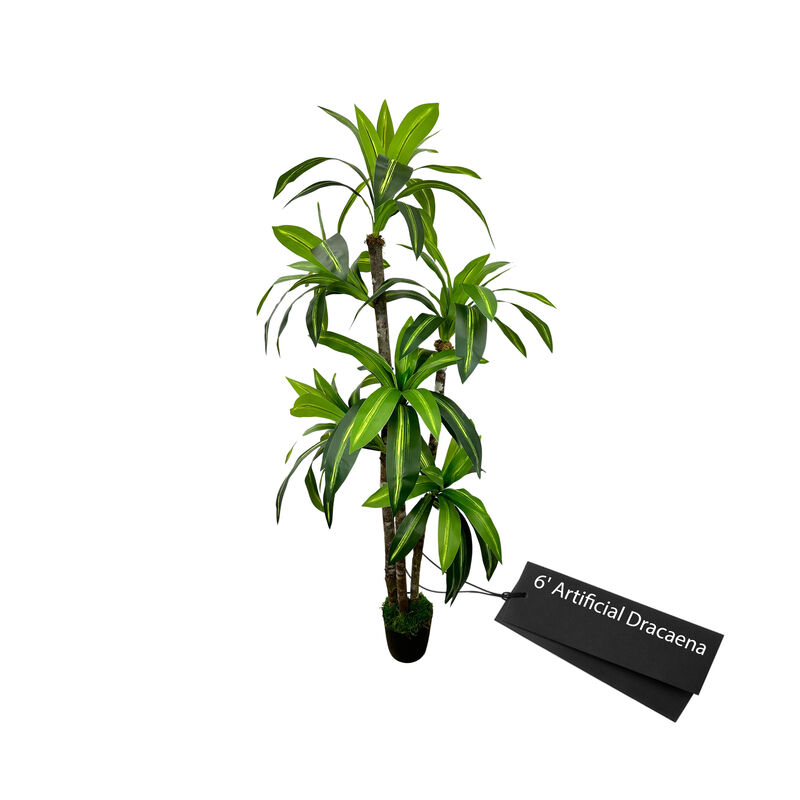 Handmade 6' Artificial Dracaena Tree In Home Basics Starter Pot Made with Real Wood and Moss Accents