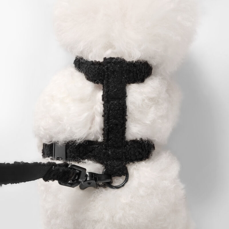 Teddy Boucl&eacute; Adjustable H Harness and Leash Walk Set with Poop Bag Pouch