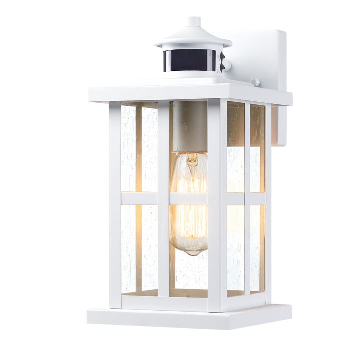 12 in.  Motion Sensor Outdoor Wall Lantern with Dusk-to-Dawn and Raindrop Glass