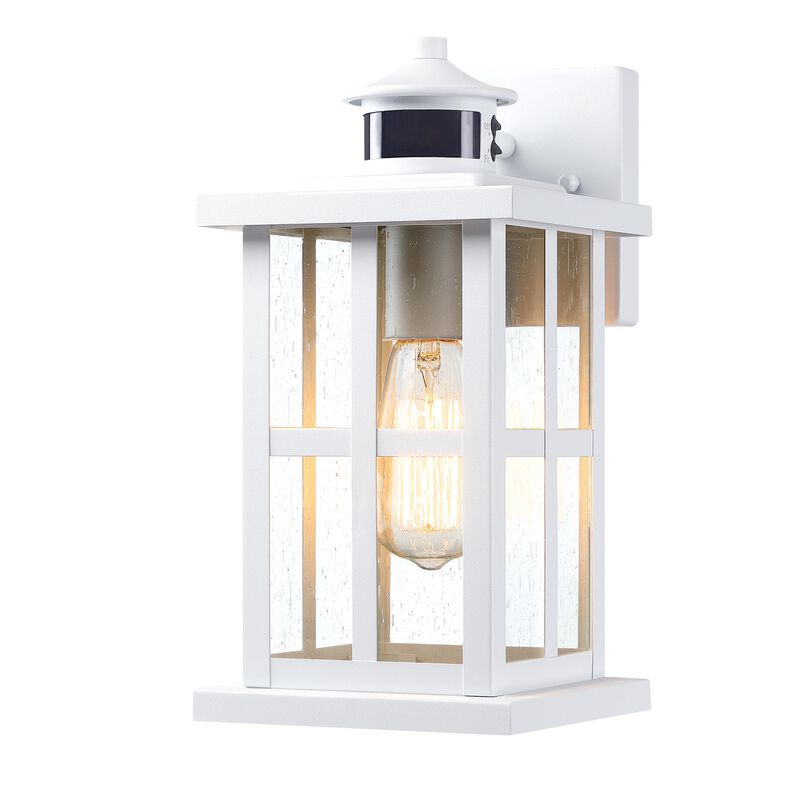 12 in.  Motion Sensor Outdoor Wall Lantern with Dusk-to-Dawn and Raindrop Glass image number 0