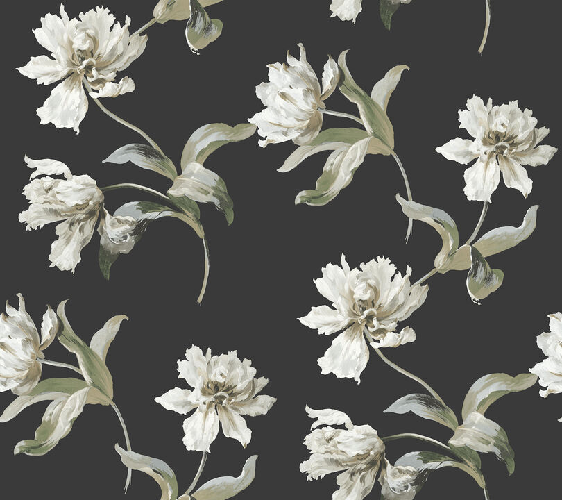 Large Parrot Tulip Black Peel & Stick Wallpaper