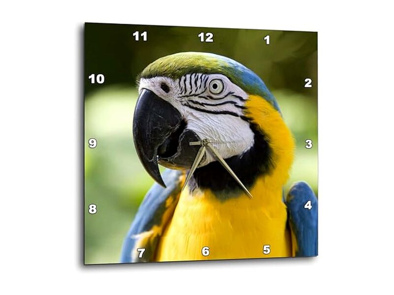 Parrot Wall Clock 10 Inch Home Decor image number 0