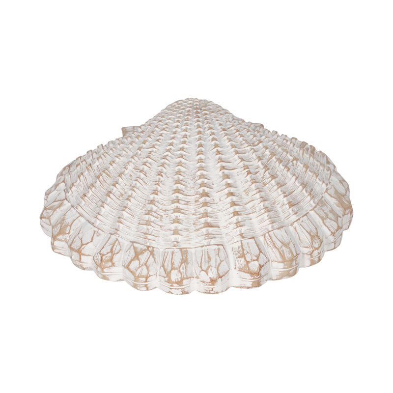 8" Sea Scallop Shell Woven Pattern, White image number 4
