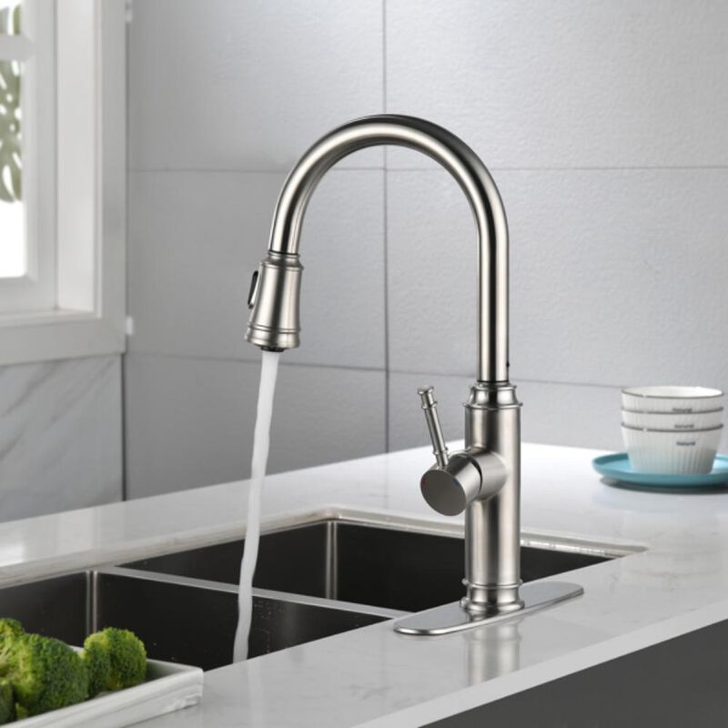 Single Handle High-Arc Kitchen Faucet with Pull-Out Sprayer