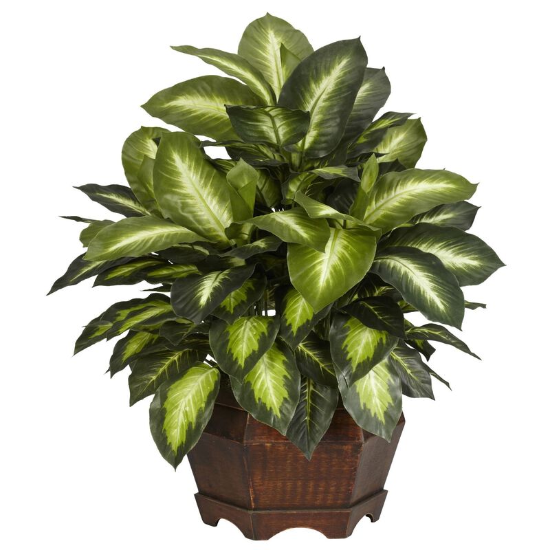 Nearly Natural Golden Dieffenbachia w/Large Hexagon