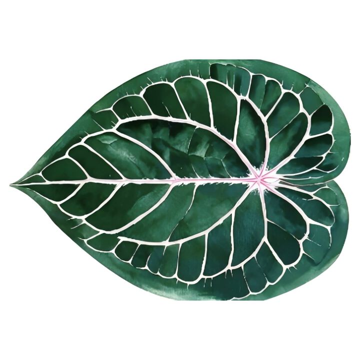 Lany Space 3'x4' Area Rug, Washable Non-Slip Rug, Irregular Caladium Leaf Rug for Living Room