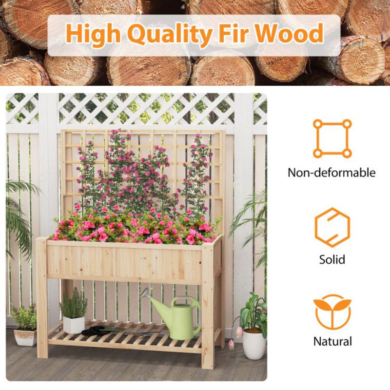 Hivvago Raised Garden Bed with Trellis Wooden Elevated Planter Box with Legs