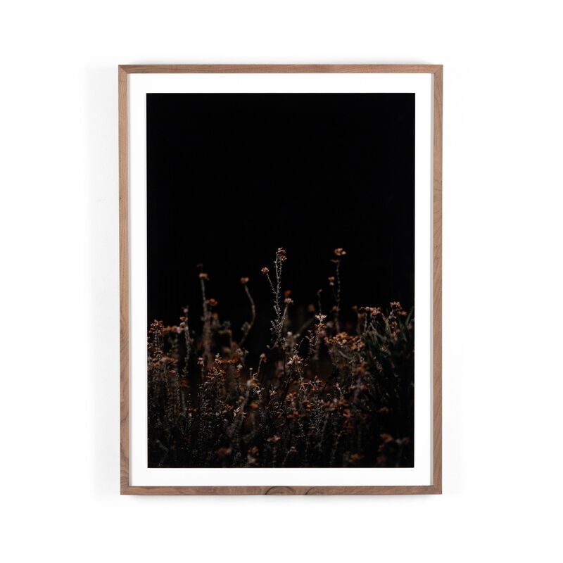 Escape I by Annie Spratt