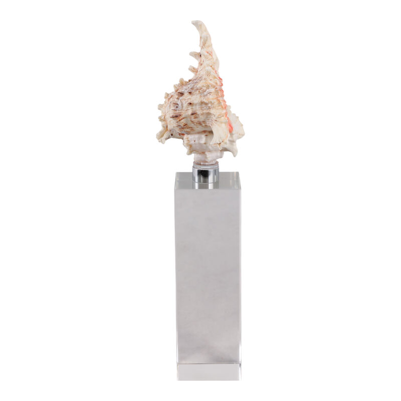 Shell on Crystal Base image number 2