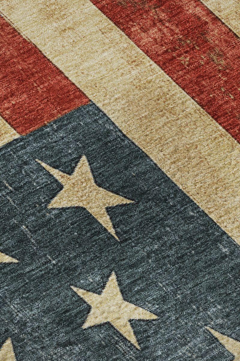 Americana AM1 Collection image number 6