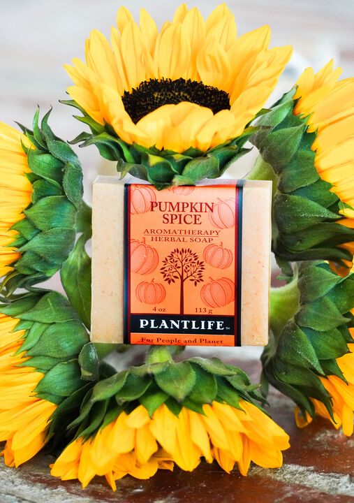 Plantlife Bar Soap - Pumpkin Spice