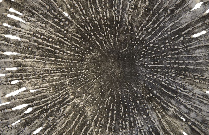 Lotus Small Wall Art