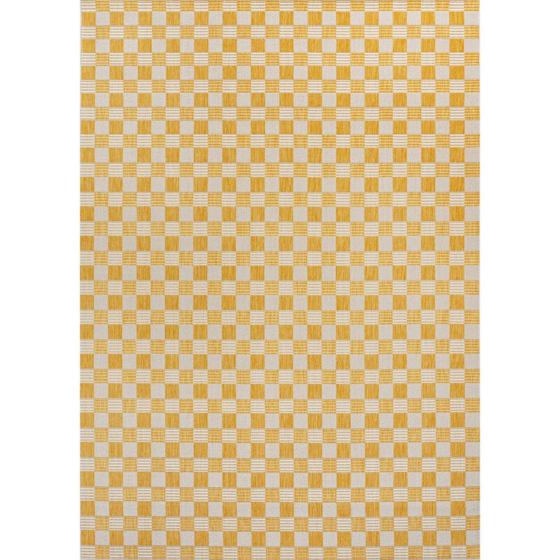 Aimee Traditional Cottage Checkerboard Indoor/Outdoor Area Rug