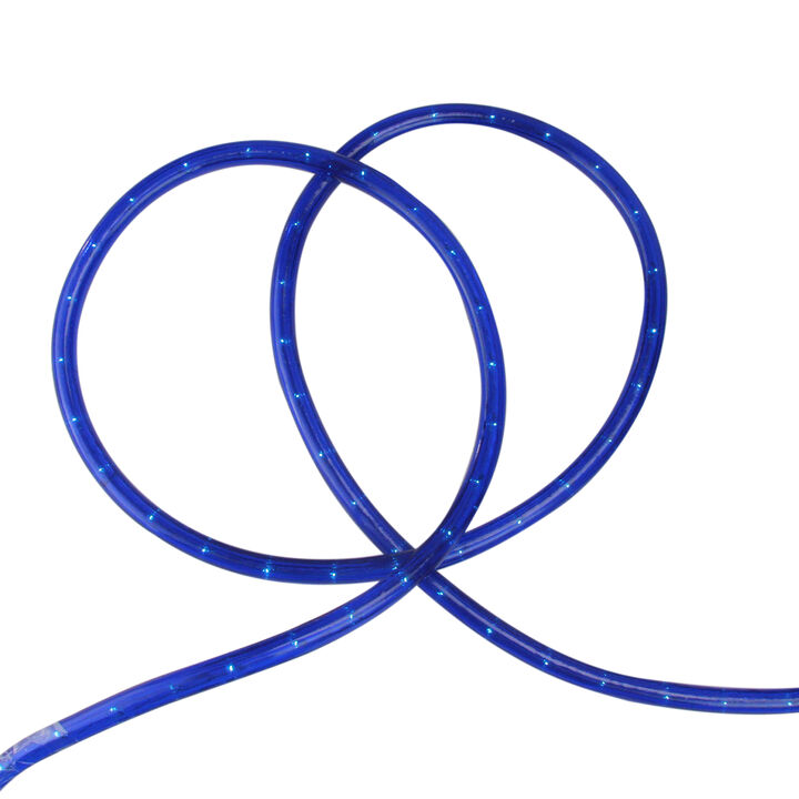 100' Blue Christmas Rope Lights